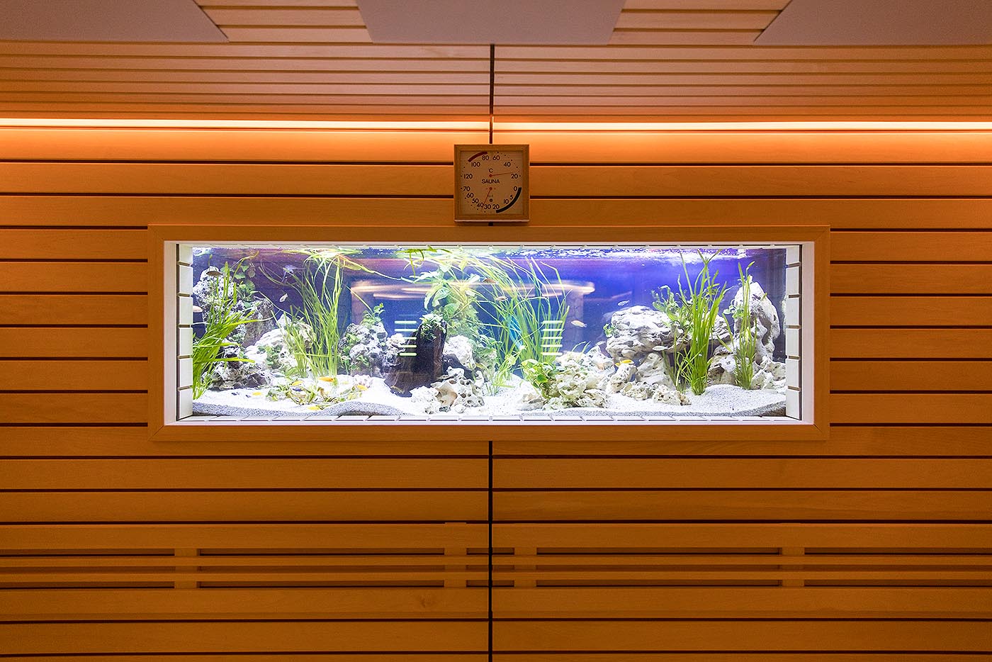 sauna für spa referenz profisauna fitness 11 Heuwaage | corso saunamanufaktur