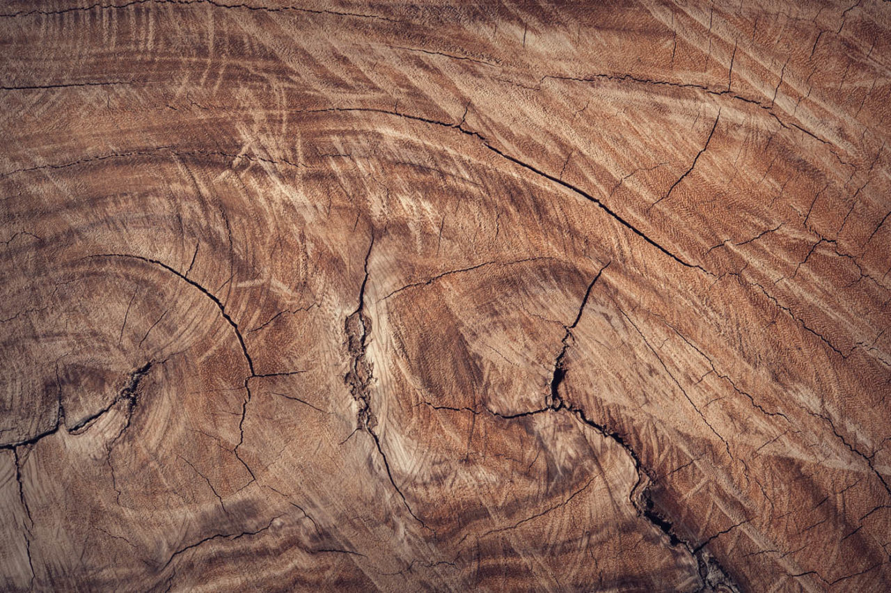 Saunaholz Holzarten Saunaholz Holzarten