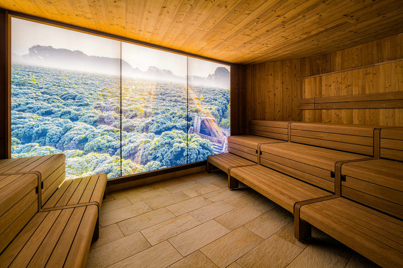 Olantis Huntebad Saunawelt: Blick in die Grünkohlsauna (Innensauna). Gewerblicher Saunabau im öffentlichen Bad. Maßanfertigung corso sauna manufaktur